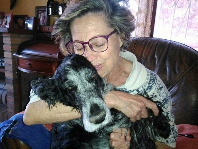 Mor el gos de la meva àvia