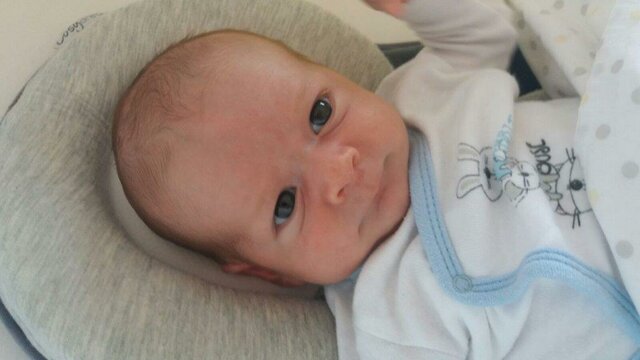 Any del meu naixement