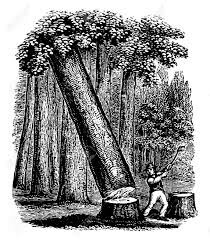 1792 worked as a labourer for free settlers