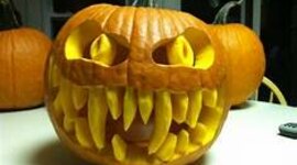 Timeline: Le vacanze di Hassan