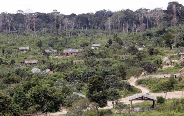 Début d'une déforestation massive en Amazonie