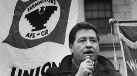 Timeline: Caesar Chavez