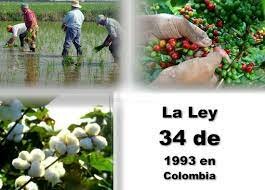 Ley 34 de 1993