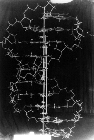L’illuminazione di Watson