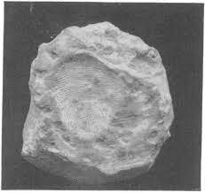 Oldest documents in China with fingerprints