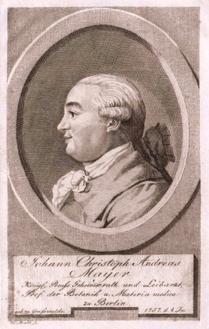 Johnann Christoph Andres Mayer
