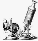 El microscopio compuesto.