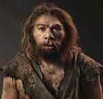 Homo neanderthalis