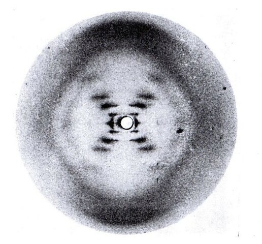 Wilkins and Franklin discovery of the DNA structure with the x-ray