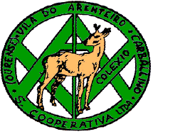 Primero de la eso repitiendo (14 años)