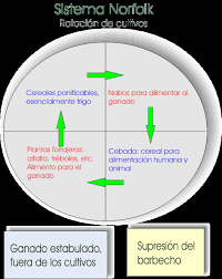 Lord Townshend introduce el Sistema Norfolk en la agricultura