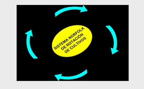 Lord Townshend introduce el Sistema Norfolk en la agricultura.