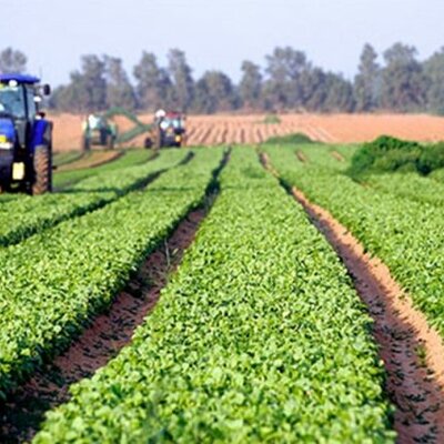 Timeline: Contexto Político del Desarrollo Rural de Colombia