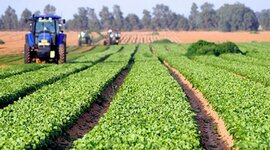 Timeline: Contexto Político del Desarrollo Rural de Colombia