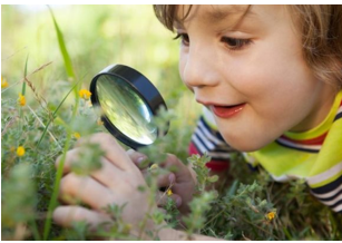 Teoría del aprendizaje empírico