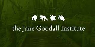 Jane Goodall Institute Created