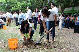 EDUCACION AMBIENTAL