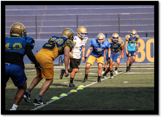 Inicia entrenamientos Auténticos Tigres