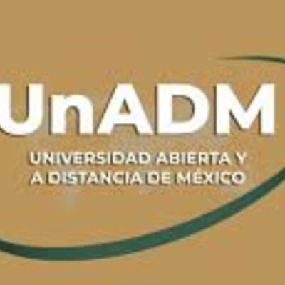 Timeline: El Recurso Humano en el Sector Público