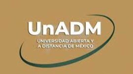 Timeline: El Recurso Humano en el Sector Público