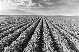 Worked on land  1792