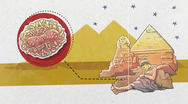 La primera muerte documentada a causa de viruela