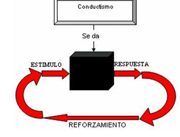 Skinner: El conductismo radical