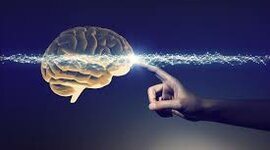 Timeline: EL ENFOQUE HUMANISTA