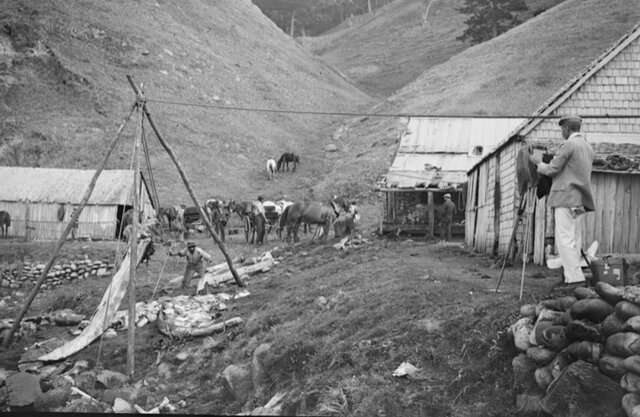 Job in North folk island