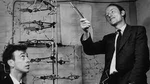 Watson and Crick