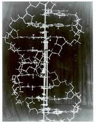 Watson and Crick experiment