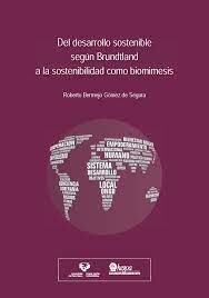 Informe Brundtland