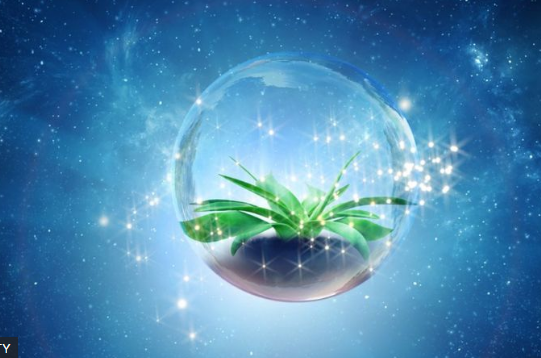 Teoría del Pensamiento Predarwiniano