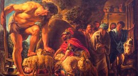 Timeline: Rosa odyssey