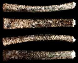 Huesos africanos para los números primos