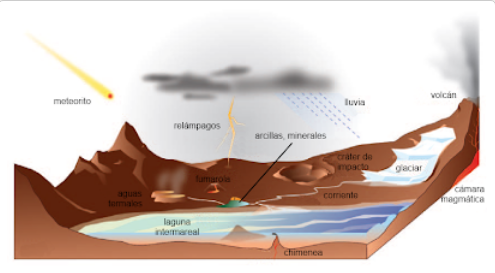 EVOLUCIÓN PREBIOTICA