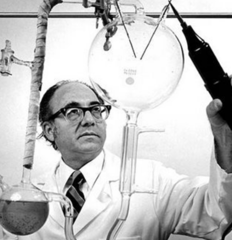 El Experimento de Miller