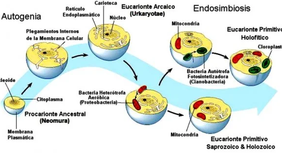 Teoría Endosimbiotica