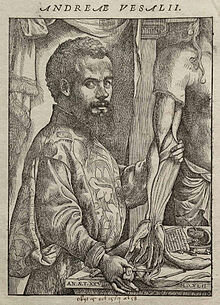 VESALIO