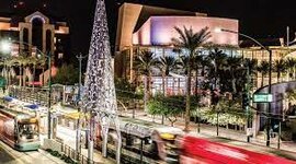 Timeline: Tiffany Colorado Guerrero