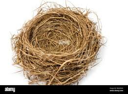 TAREAS DEL DESARROLLO/ ADULTEZ TARDÍA 42-44 A 56-58 AÑOS.