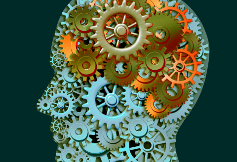 Sociedades Científicas de Medicina comportamental