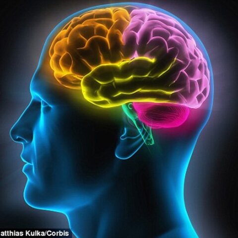 Psicofisiología experimental