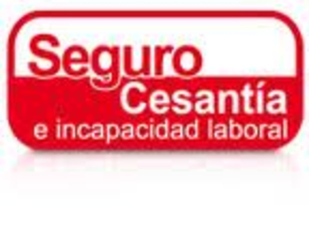 Decreto reglamentario 1176 de 1991