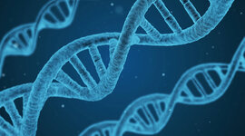 Timeline: Historia de la bioinformatica