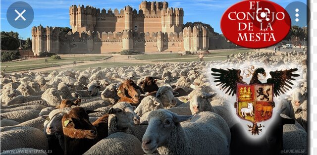 Honrado Concejo de la Mesta