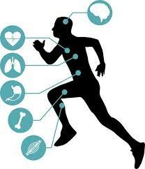 Personal : Crear hábitos de salud como la gimnasia