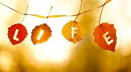 Timeline: Mary's life