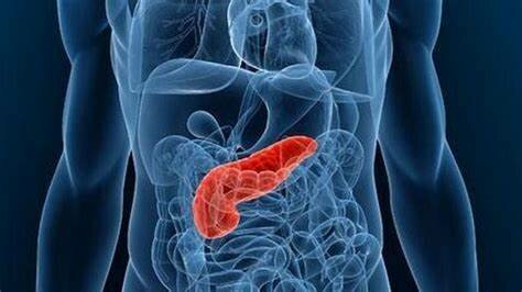 Descubrimiento del papel del páncreas.