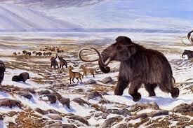 Fin de las glaciaciones